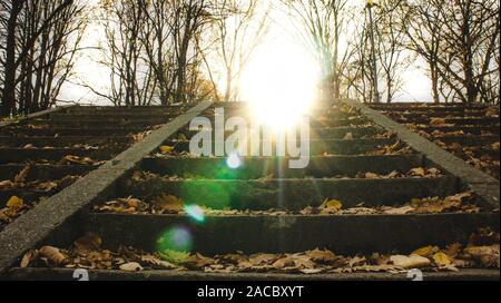 Park scale con sun flares nella stagione autunnale. Foto Stock