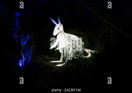 Eden Project, Festa di Natale 2019 Foto Stock