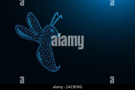 Hornet low poly icona, insetto astratta immagine geometrica, animale wireframe poligonale mesh illustrazione vettoriale costituito da punti e linee in blu scuro bac Illustrazione Vettoriale