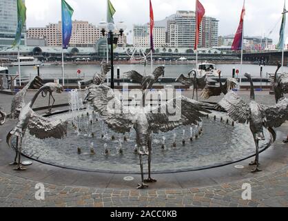 Uccelli Brolga ballando intorno a una fontana in Darling Harbour, Sydney, Australia Foto Stock