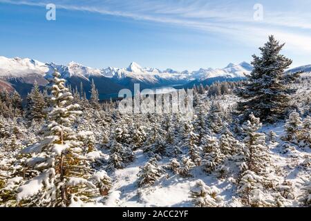 Coperta di neve abeti su Lissia-gori, Jasper National Park, il Canada con il Lago Maligne e Sansone picco in background Foto Stock