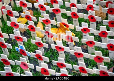 Londra, Inghilterra, Regno Unito. Croci e di papavero nella motivazione della Abbazia di Westminster per ricordo domenica (2019) Foto Stock