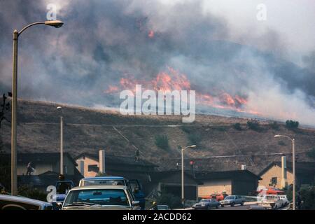 Thousand Oaks, California, Stati Uniti d'America - 10 Ottobre 1982: i proprietari i tubi tetti in legno come spazzola infuria il fuoco sulle vicine colline. Foto Stock