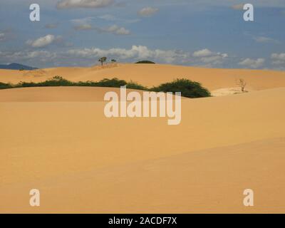 Dune di Medanos de Coro del Parco Nazionale in coro nel Falcon di Stato in Venezuela Foto Stock