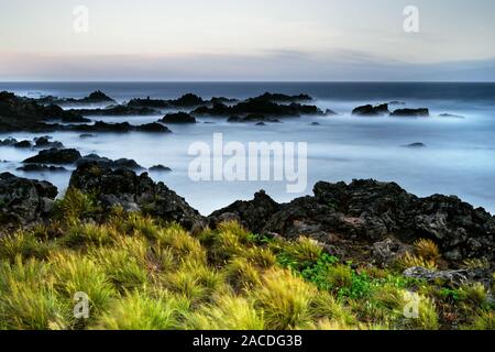 Lonely tratto di costa con pietre alla luce della sera, forte il vento muove ciuffi di erba in primo piano e l'acqua, shot con tempo di esposizione lungo, col Foto Stock