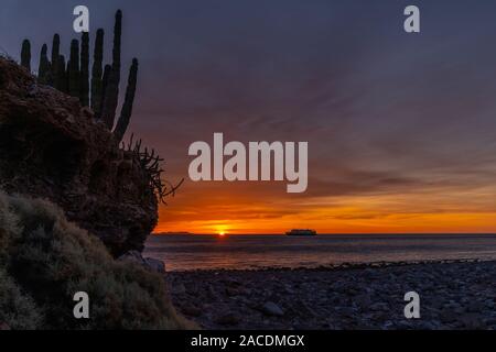 I picchi di sole attraverso un cardon cactus di sunrise a San Esteban isola con la nave National Geographic Venture ad ancorare nel mare di Cortez. Foto Stock