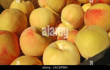 Pila di freschi maturi organici di pesche gialle per la vendita al mercato locale Foto Stock