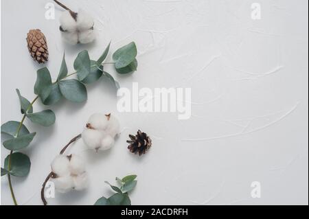 Mock up di eucalipto e foglie di piante di cotone con posto per il testo su sfondo bianco. Ghirlanda fatte di rami, coni. Piatto, laici vista superiore Foto Stock