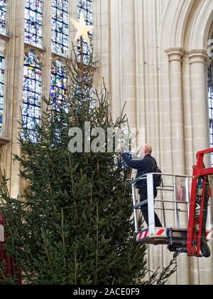 Decorare l'albero di Natale, Winchester Cathedral Foto Stock
