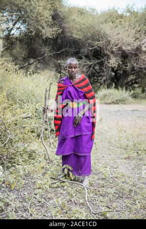 Stesso, Tanzania, 11 Giugno 2019: Maasai donna la raccolta di legna da ardere da foresta Foto Stock