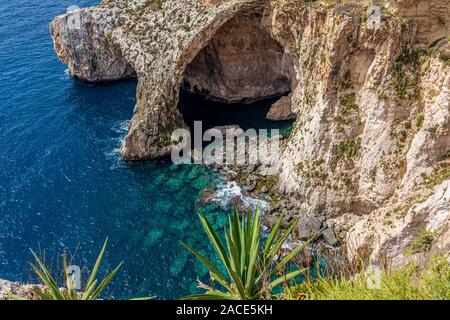 Pietra naturale arco della Grotta Azzurra e caverne del mare in Malta, con pianta di agave in primo piano. Blue Grotto seascape. Foto Stock