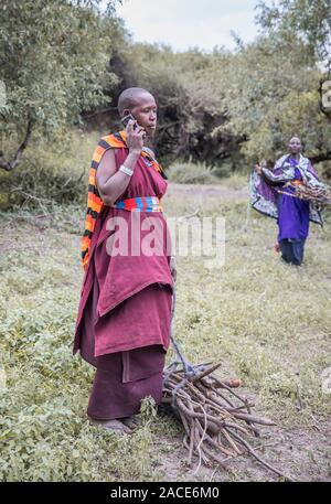 Stesso, Tanzania, 11 Giugno 2019: Maasai donna la raccolta di legna da ardere da foresta Foto Stock