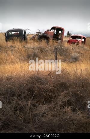 Automobili abbandonate Farmland. Vecchi carrelli abbandonati nel nord-ovest del Pacifico. Foto Stock