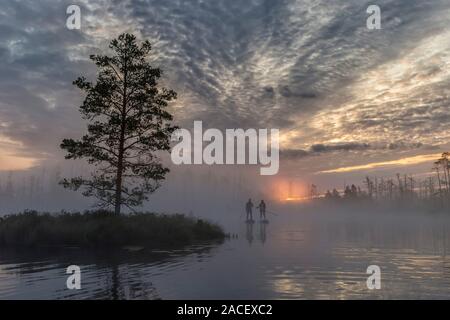 Sunrise a foggy palude con piccoli alberi morti ricoperti di prima mattina con la gente sulle schede del pannello SUP Foto Stock