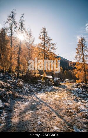 Donna escursionismo nelle Alpi austriache vicino a Filzmoos in autunno, Salisburgo, Austria Foto Stock