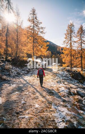 Donna escursionismo nelle Alpi austriache vicino a Filzmoos in autunno, Salisburgo, Austria Foto Stock