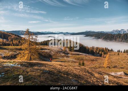 Donna escursionismo nelle Alpi austriache vicino a Filzmoos in autunno, Salisburgo, Austria Foto Stock