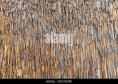 Tetto di Paglia, Norfolk Broads, Norfolk, Inghilterra, Regno Unito Foto Stock