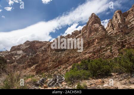 Le formazioni rocciose e le scogliere di Split Mountain canyon sul fiume Verde nel dinosauro monumento nazionale nel nord dello Utah. Foto Stock