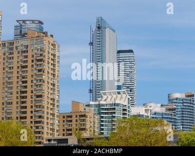 Seagull battenti da moderni grattacieli di Toronto Downtown. Uno degli edifici è in fase di costruzione con una costruzione esterna ascensore. Foto Stock