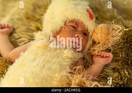 Neonato in costume di pollo su un letto di pelliccia Foto Stock