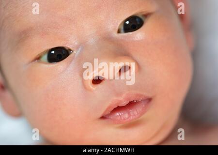 Vicino la faccia del neonato boy Foto Stock