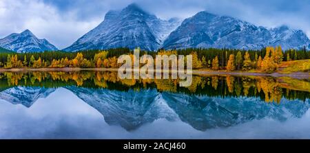 Stagno di cuneo, Kananaskis, Alberta, Canada Foto Stock