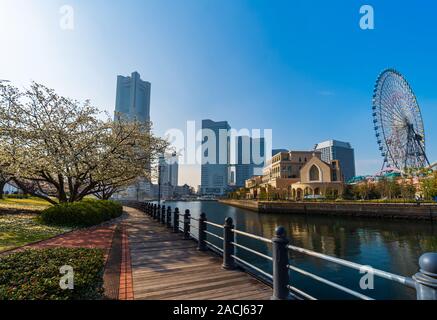 Scenario di Kishamichi Promenade con la fioritura dei ciliegi in Minato Mirai, Yokohama, Giappone Foto Stock