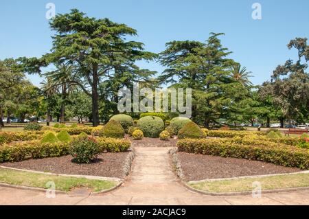 I giardini Hopetoun di Elsternwick, disposti nel 1909, ospitano diversi alberi significativi, tra cui querce, alloro, prugna selvatica, magnolia e castagno. Foto Stock