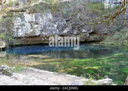 Le acque blu profonde di Blue Spring, sul fiume corrente, vicino a Eminence, Missouri, USA. Blue Spring è una delle sorgenti più profonde del Missouri, con oltre 300 metri di altezza. Foto Stock
