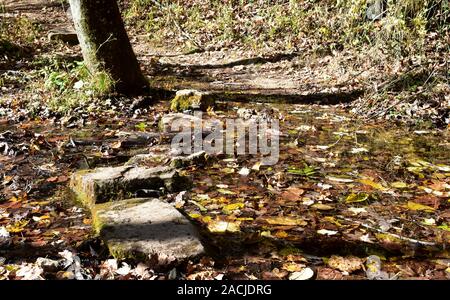Le pietre a passo attraversano un piccolo ruscello sul sentiero per escursioni a Blue Springs, vicino a Eminence, Missouri, Missouri, Stati Uniti, STATI UNITI, STATI UNITI. Foto Stock