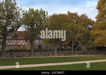 Castello storico terrazza di Francoforte hoechst in autunno in Germania4 Foto Stock