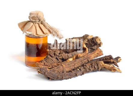 Ligusticum porteri, noto come OSHA. Radici essiccate. Isolato su sfondo bianco Foto Stock