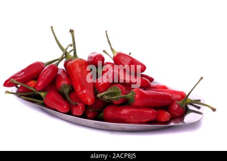 Mazzetto di peperoncino rosso Foto Stock