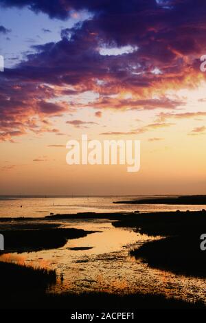 Ria Formosa al tramonto Foto Stock