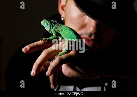 Uomo e iguana Foto Stock