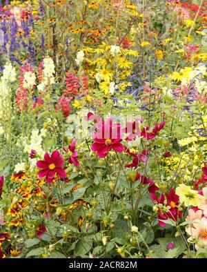 Inizio autunno giardino confine con caldi colori della Rudbeckia 'Priairie Glow', dalie, agastache e black eyed Susan a settembre. Regno Unito Foto Stock