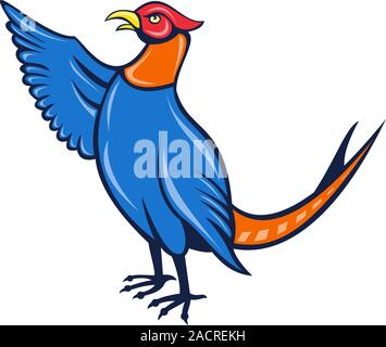 Illustrazione di un cartone animato di fagiano uccello rivolto verso l'alto con ala isolato su bianco Foto Stock