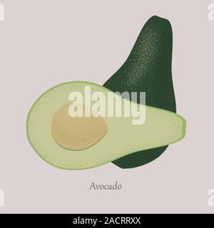 Vettore di avocado frutta intera e tagliata a metà. Illustrazione Vettoriale