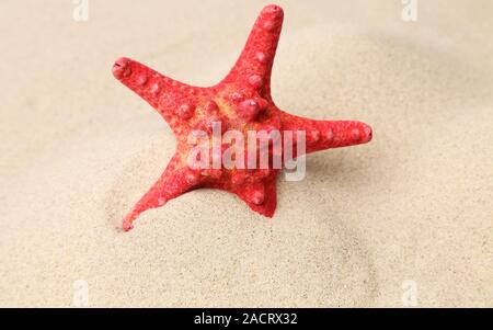 Stella Rossa su uno sfondo sabbia. Close up. Foto Stock