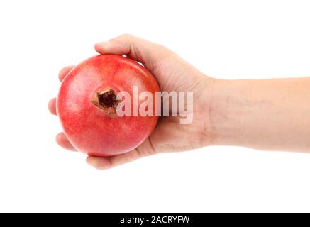 Mano che tiene il melograno. Foto Stock