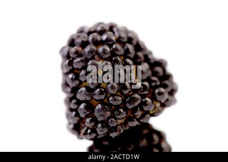 Blackberry gelatine di frutta nera. Foto Stock