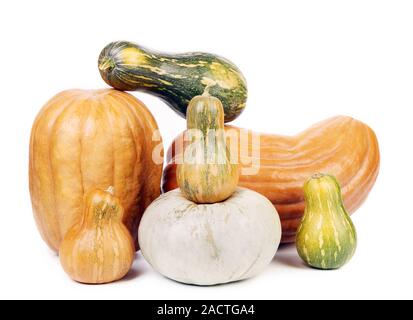 Composizione di differenti tipi di zucca freschi. Foto Stock