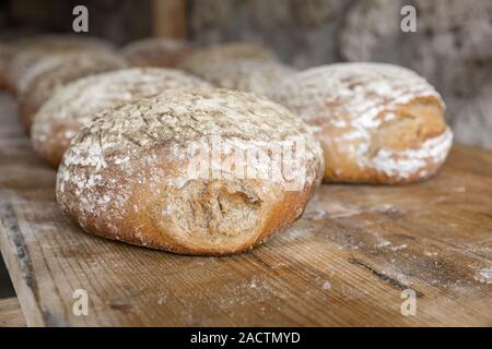 Agricoltore il pane fresco dal forno Foto Stock
