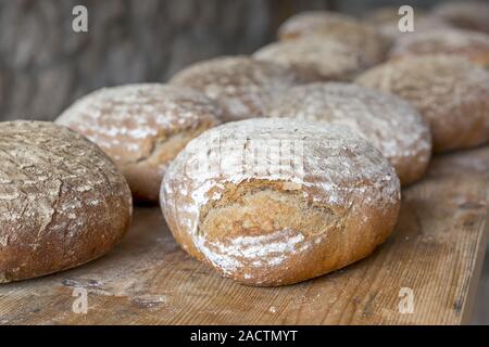 Agricoltore il pane fresco dal forno Foto Stock