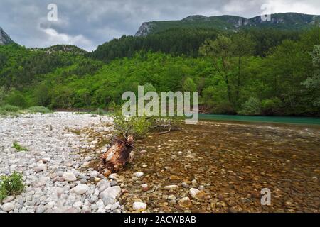 Il fiume Neretva in un canyon, Bosnia Erzegovina Foto Stock