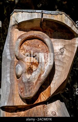 Sculture in legno di tronco di albero organi di senso Foto Stock