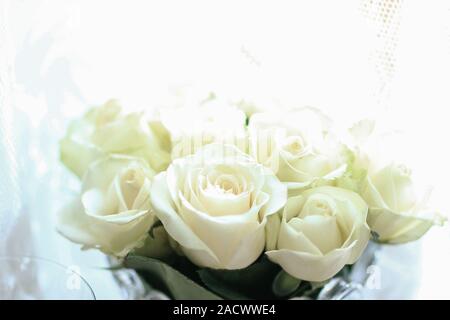 Tre rose rosse in un vaso di cristallo. Foto Stock