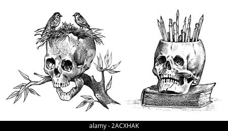 Cranio umano con uccelli e matite. Retrò vecchia scuola di disegno per tatuaggio in stile vintage. Il simbolo in bianco e nero. Disegnato a mano retrò inciso il badge per t Illustrazione Vettoriale