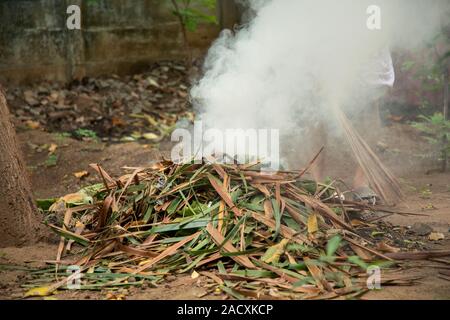 La masterizzazione di garbage. erba e foglie brucia in giardino. Dal fumo durante la combustione di rifiuti di giardino. Foto Stock